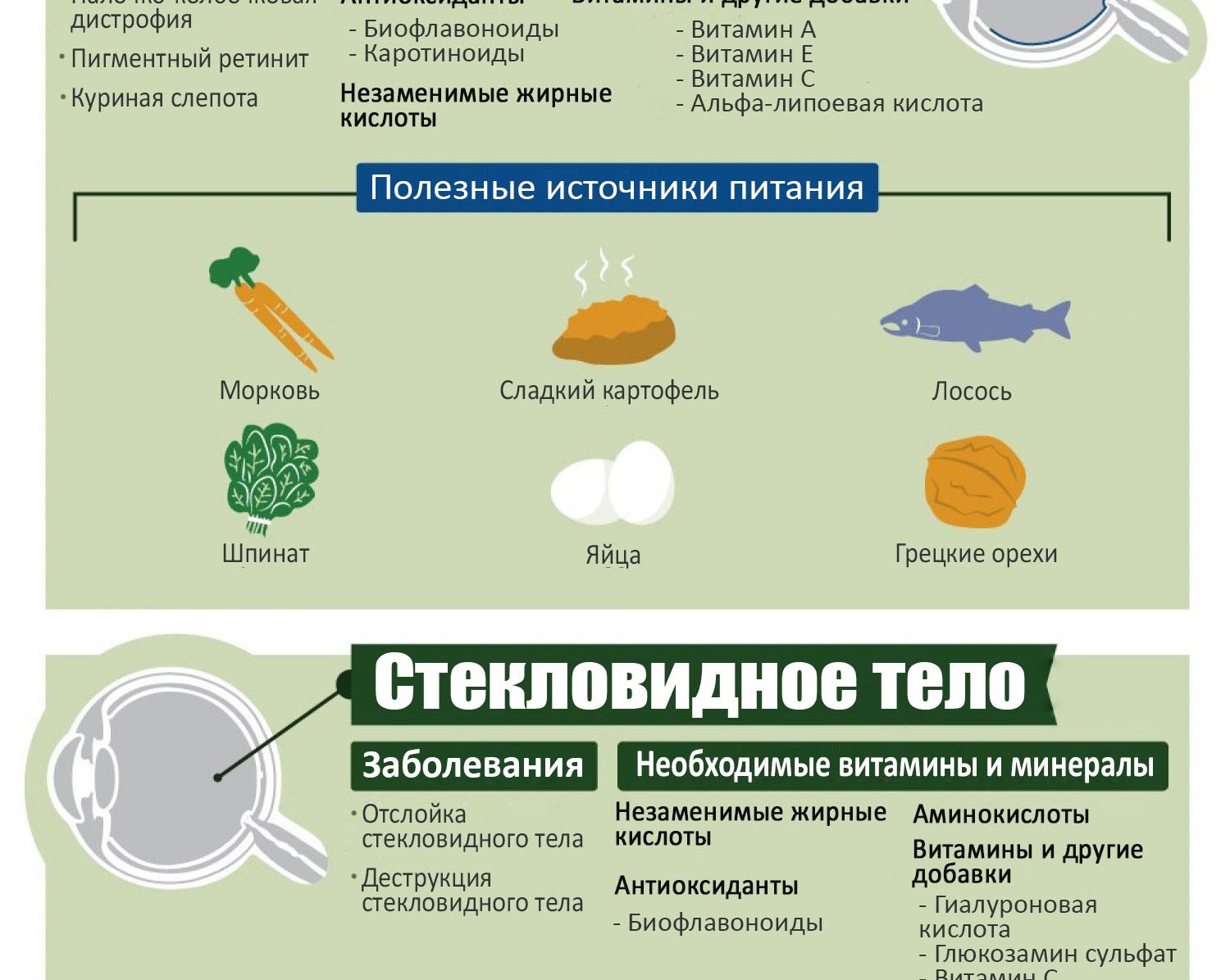 Инфографика: Какие продукты полезны для глаз