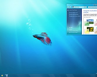 Двадцать лиц Windows 7 - 