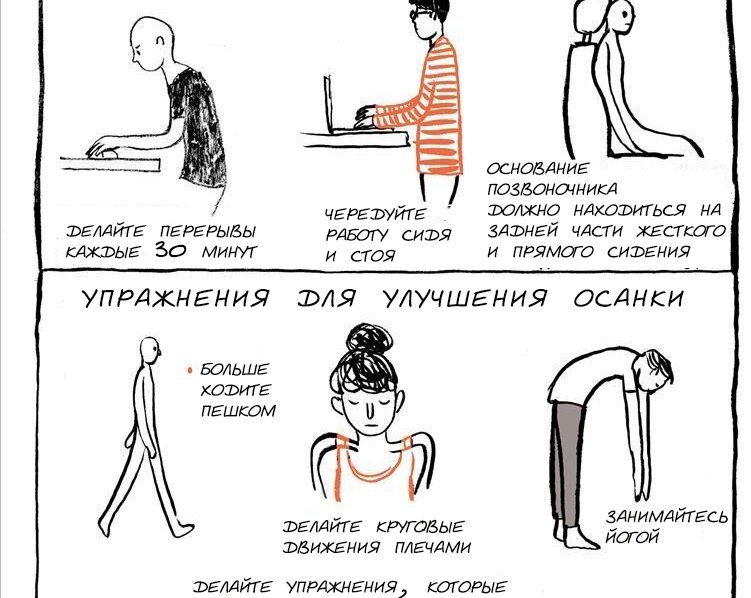 ИНФОГРАФИКА: Как приучить себя к правильной осанке?